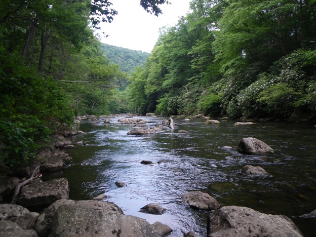 Looking Downstream on the Savage River.