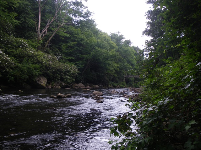 Looking Upstream on the Savage River