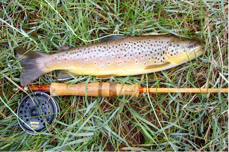 Hot Creek Brown and Cane Rod.