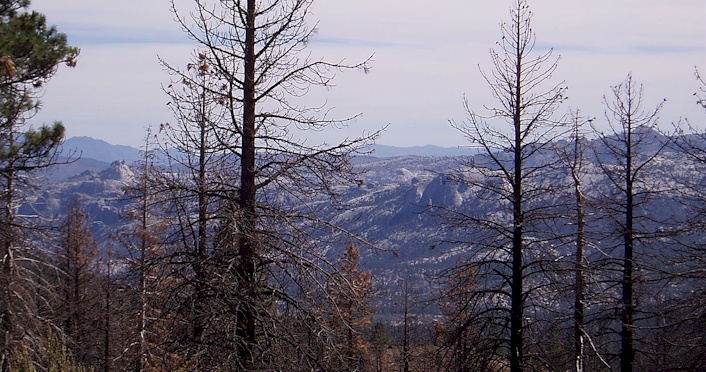 Looking across to the Domeland Wilderness